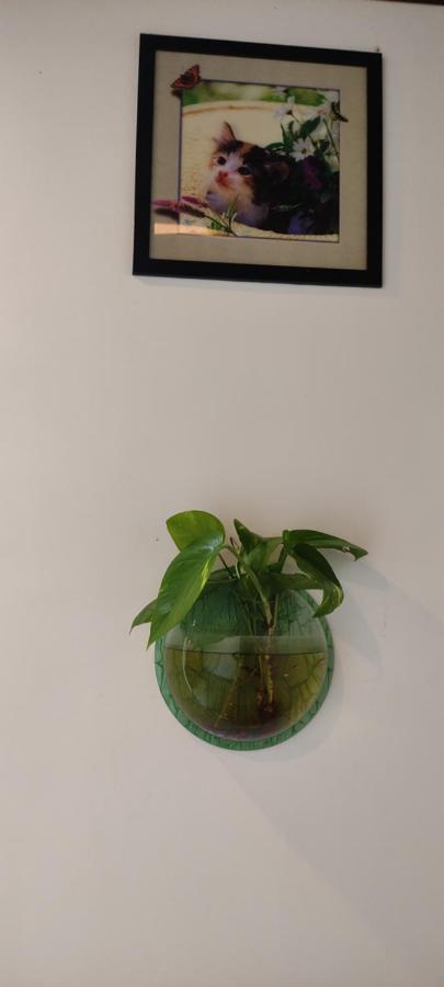 Soly'S Villa Homestay Мунар Екстериор снимка